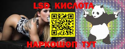 МДМА Камышлов